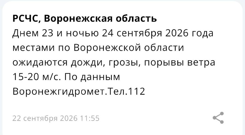 Фото поста канала  Большой воронежский