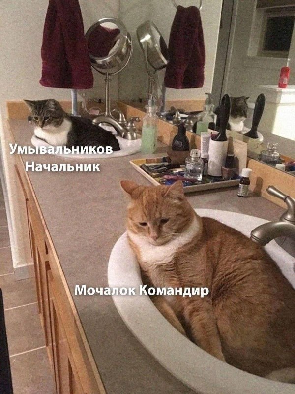 Фото поста канала  Радио Тысячи Озёр