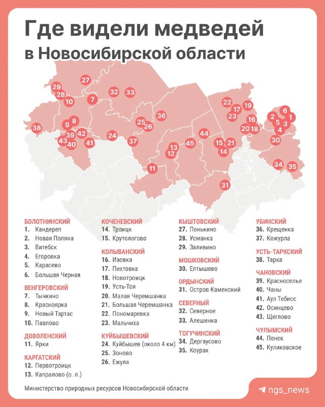 Фото поста канала НГС — новости Новосибирска