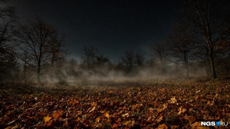 Фото поста канала  Новости Рязани YA62