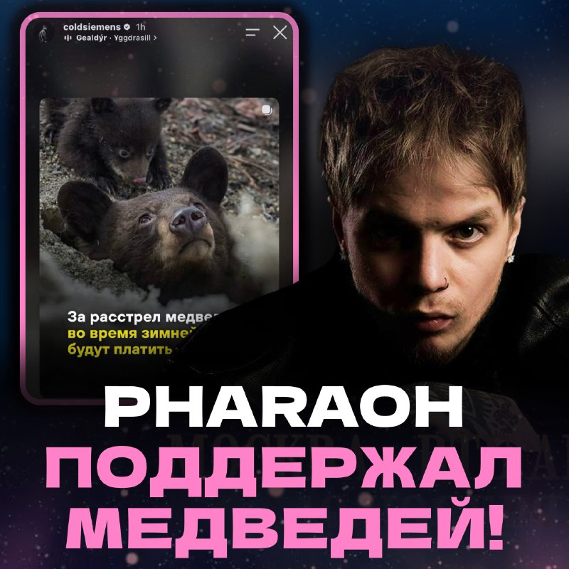 Фото поста канала stereoNEWS