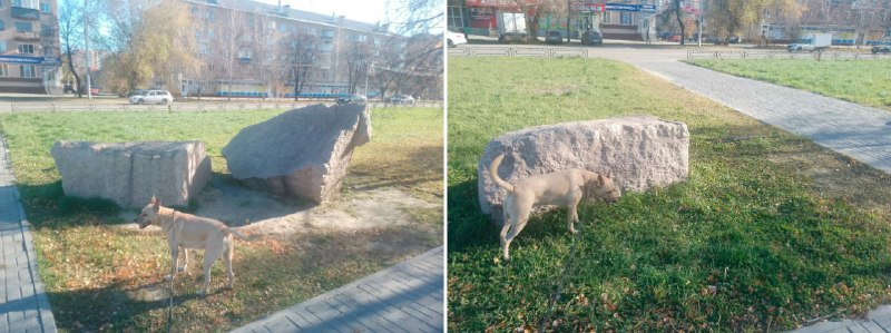 Фото поста канала  Новости. Как есть