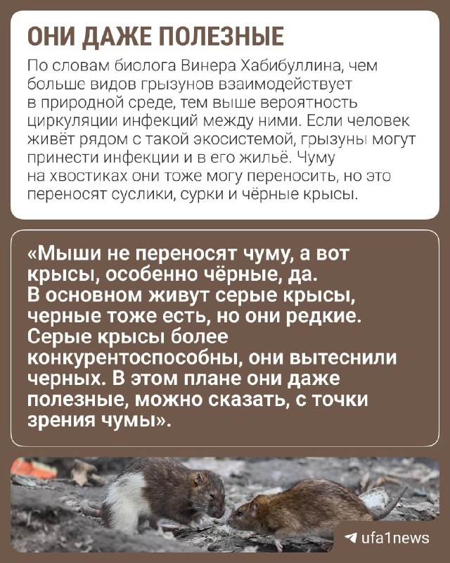 Фото поста канала  Мониторинг 02 Республика Башкортостан