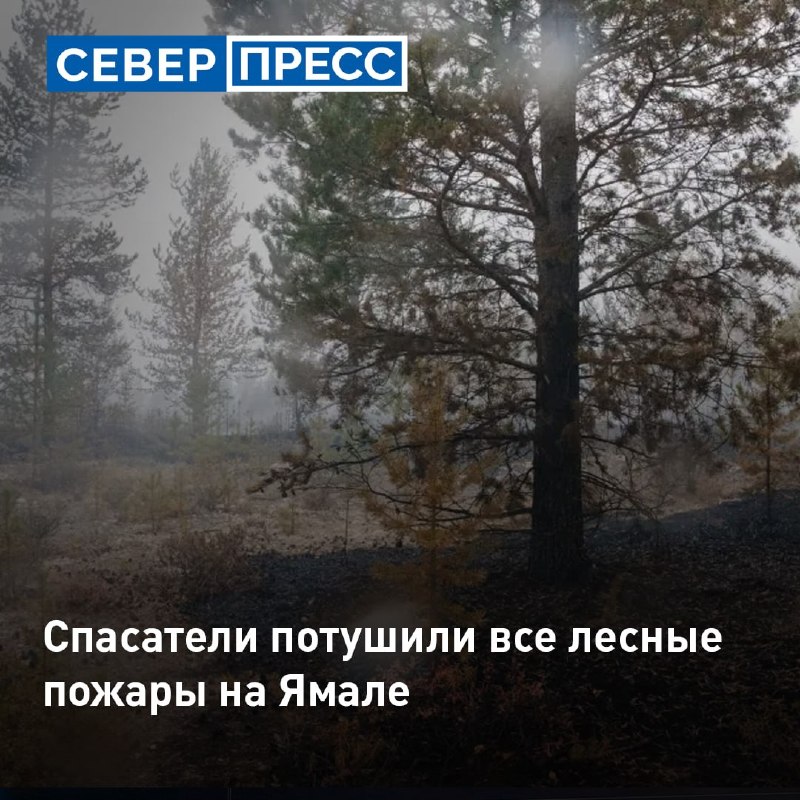 Фото поста канала  Мониторинг 89 Ямало-Ненецкий АО