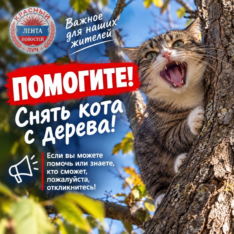 Фото поста канала  Красный Луч ЛЕНТА НОВОСТЕЙ И ОБСУЖДЕНИЙ