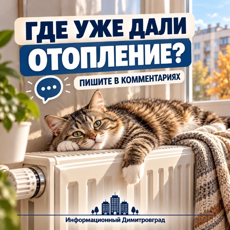 Фото поста канала  Информационный Димитровград