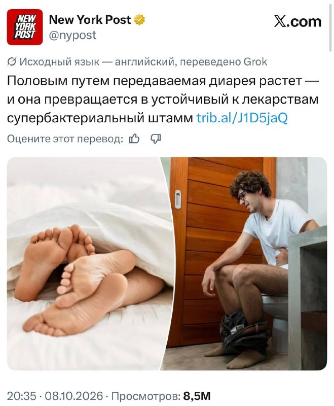 Фото поста канала  Мяу