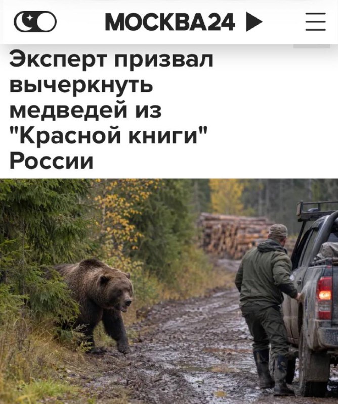 Фото поста канала Пул N3