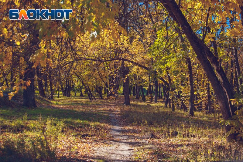 Фото поста канала  Блокнот Ростов