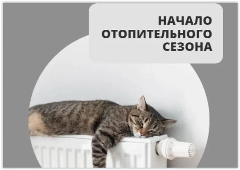Фото поста канала  ЛипецкФото • Новости Липецка и области • 48 Регион