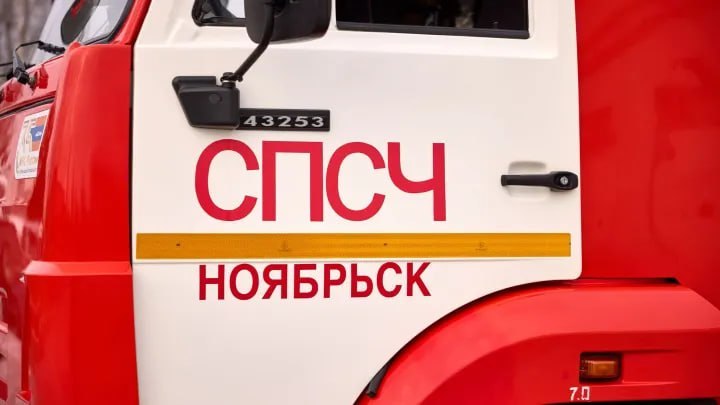 Фото поста канала  Мониторинг Арктика