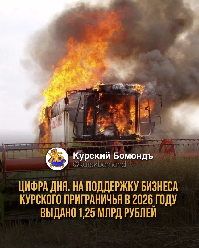 Фото поста канала  КУРСКИЙ БОМОНДЪ