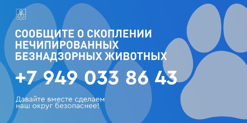 Фото поста канала  Мариуполь Наш