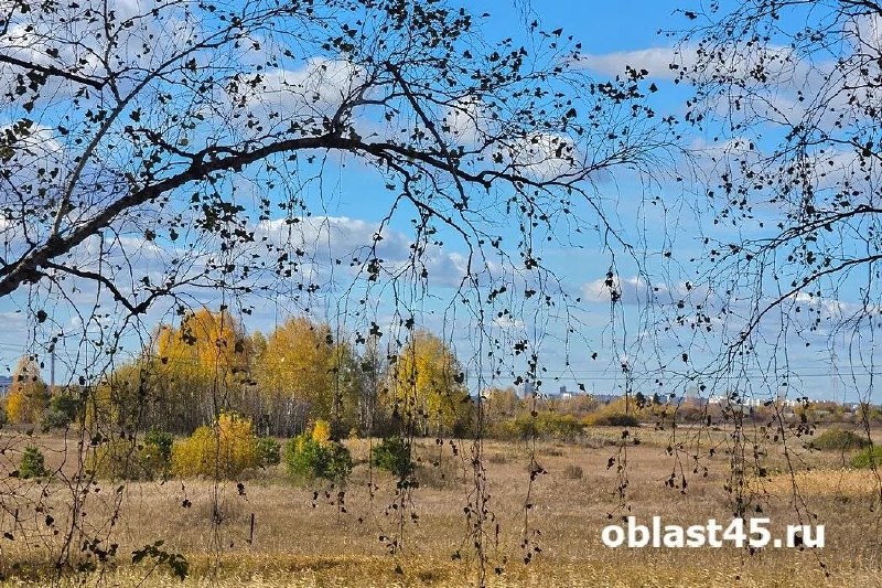 Фото поста канала  Мониторинг 45 Курганская область