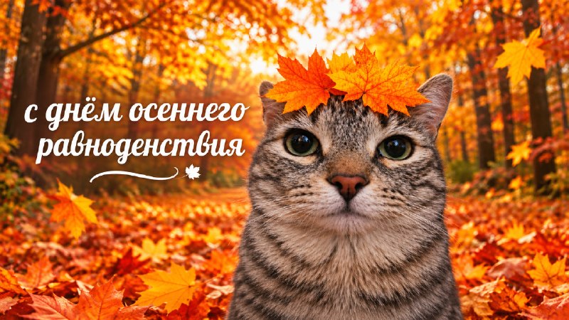 Фото поста канала Двач