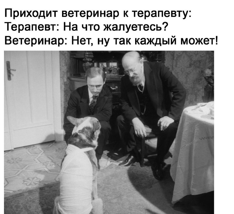 Фото поста канала Анекдоты | Мемы | Юмор 🍒