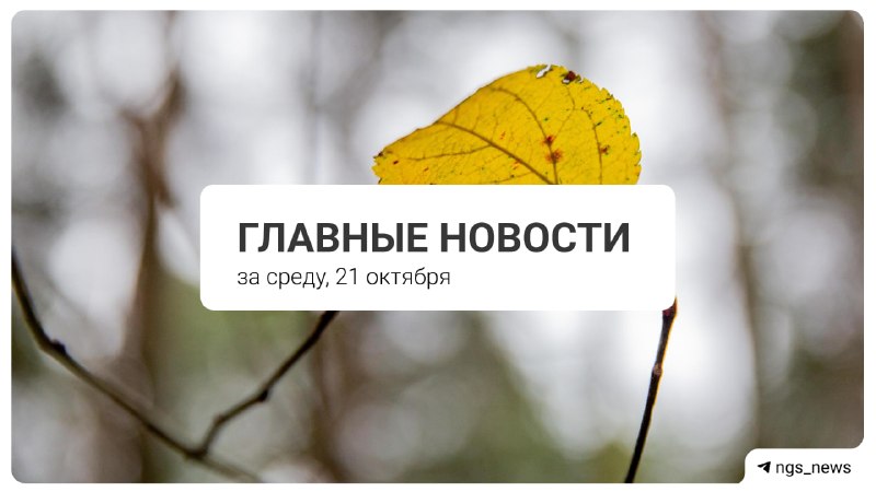 Фото поста канала НГС — новости Новосибирска