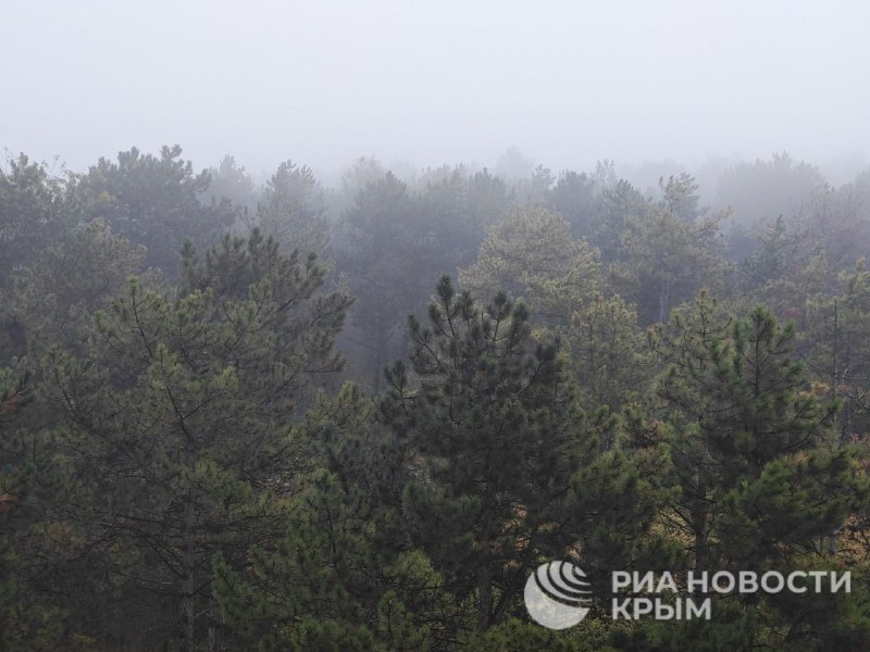 Фото поста канала  Лента новостей Крыма Z Новости Крыма