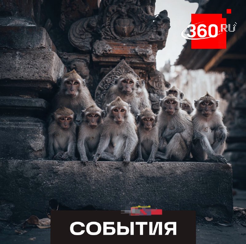 Фото поста канала  360.ru