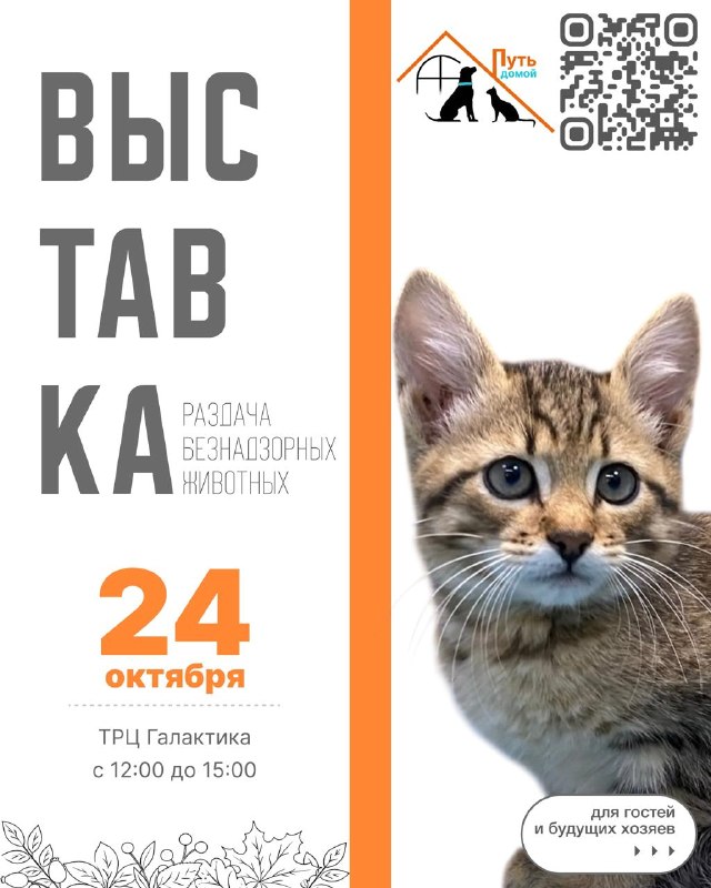 Фото поста канала  Важное в Смоленске