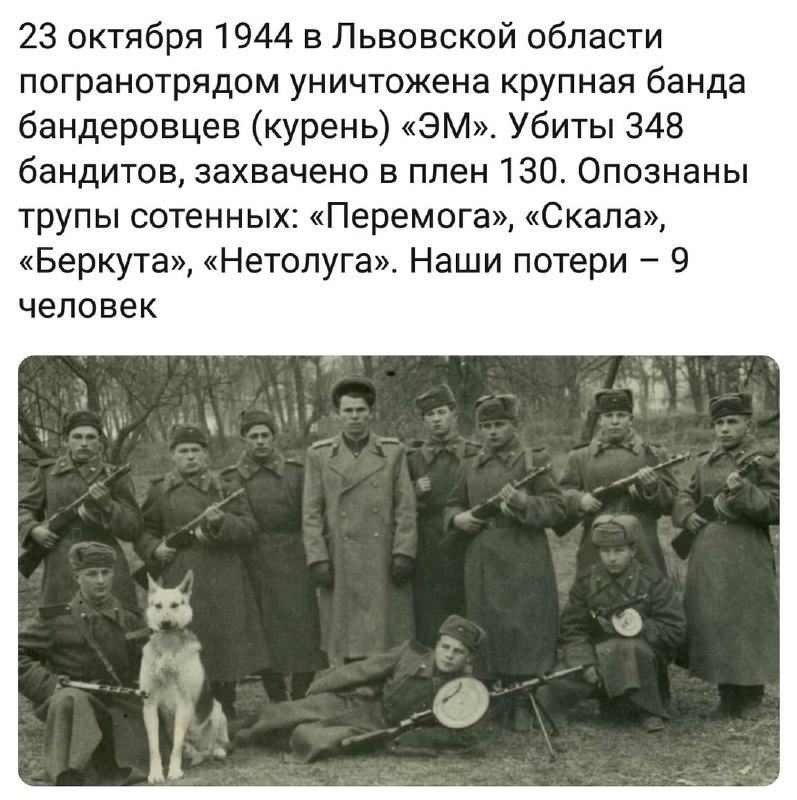 Фото поста канала  Кухня Роджерса