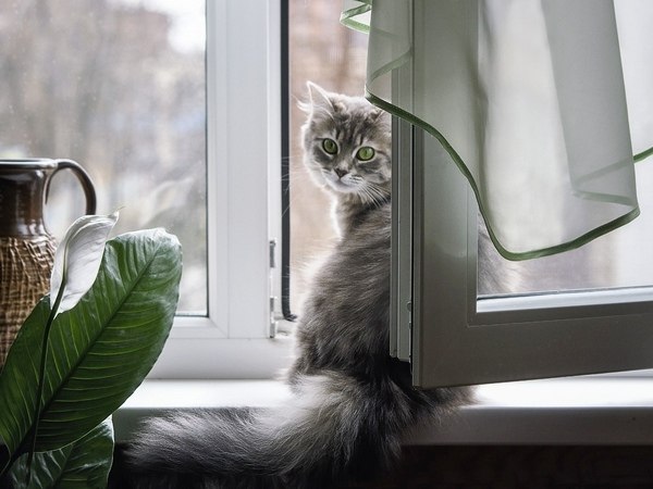 Фото поста канала  Орловские новости