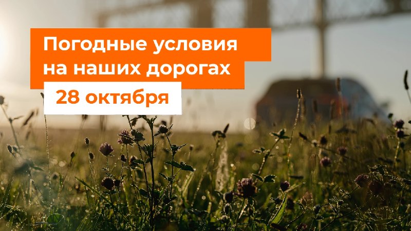 Фото поста канала  Pravda DE