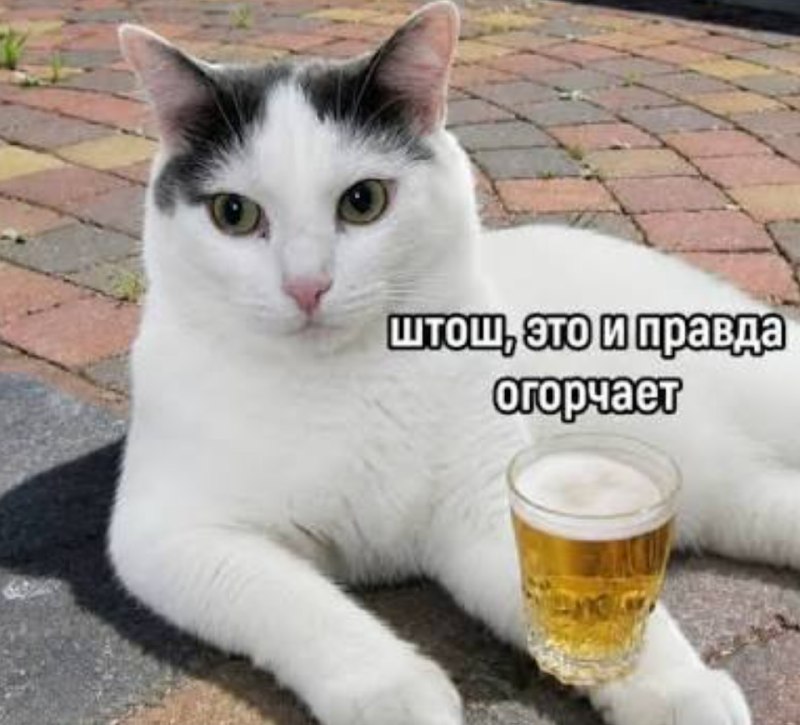 Фото поста канала Техночат