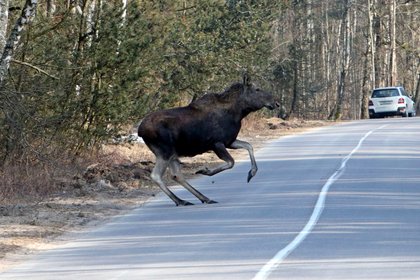 Фото поста канала  Лента Новостей