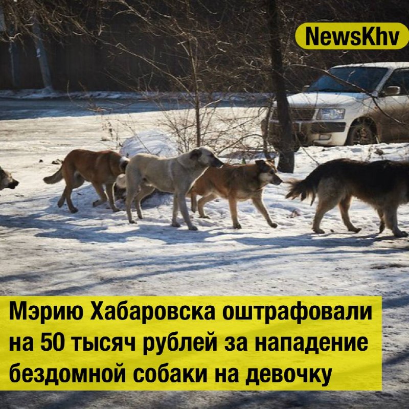 Фото поста канала  NewsKhv