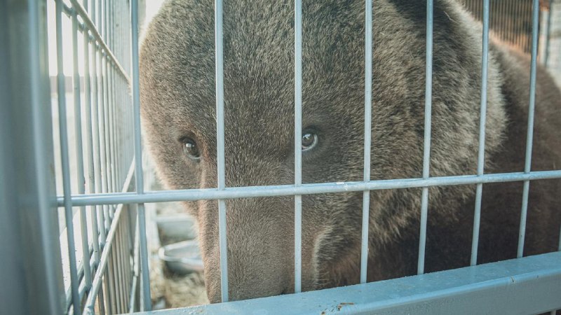 Фото поста канала  Новые Известия