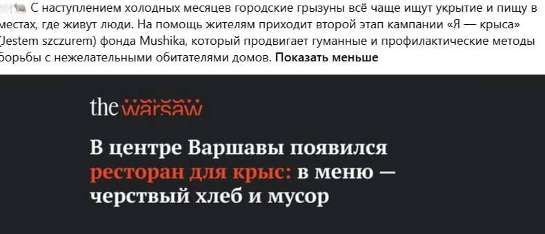 Фото поста канала  ЖС Premium