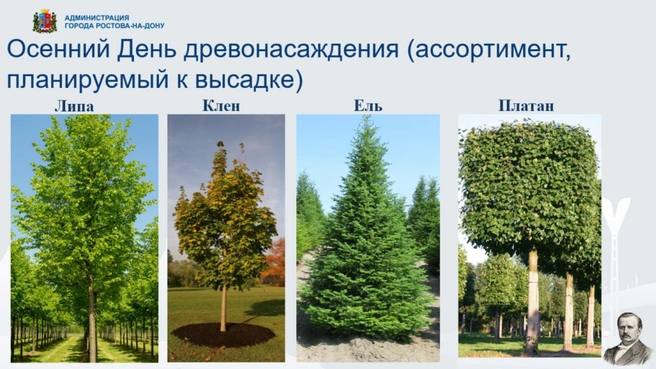 Фото поста канала  Новости Ростова | 161.RU