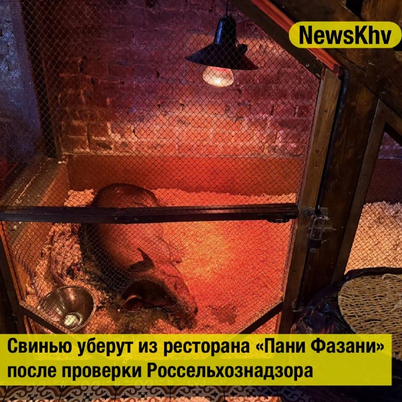 Фото поста канала  NewsKhv