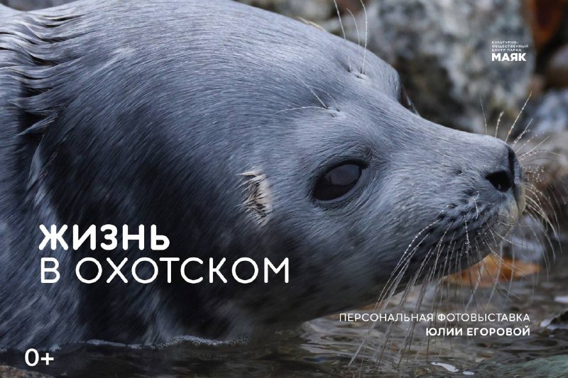 Фото поста канала  Мониторинг 49 Магаданская область