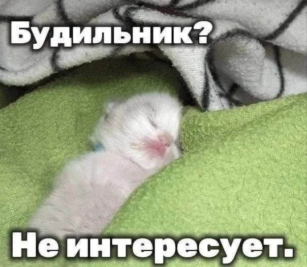 Фото поста канала  ИА ЛАБЫТНАНГИ