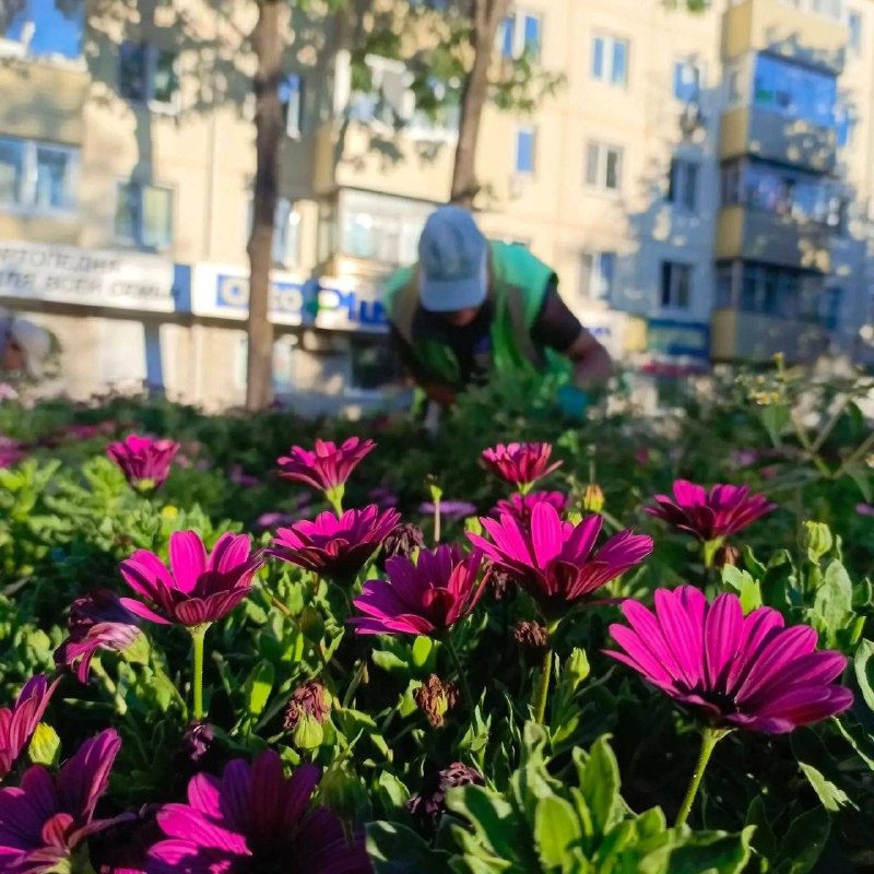 Фото поста канала  Город В | Владивосток