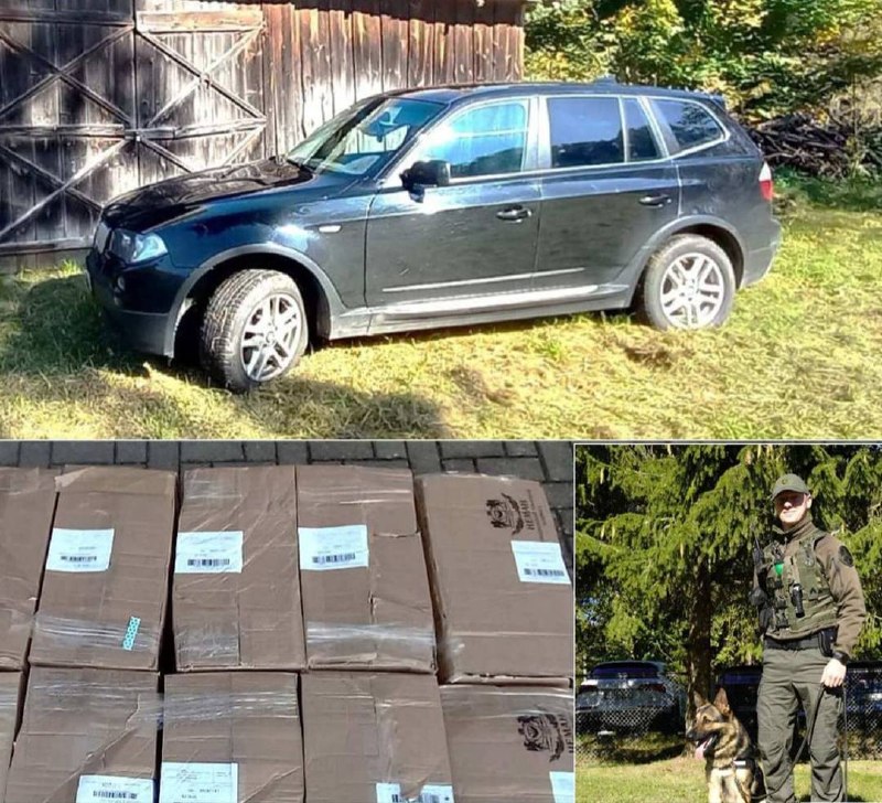 Фото поста канала  Несерьезный МИД
