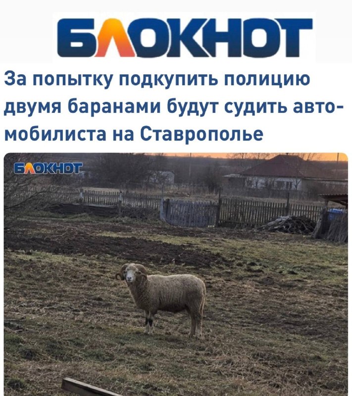 Фото поста канала Пул N3