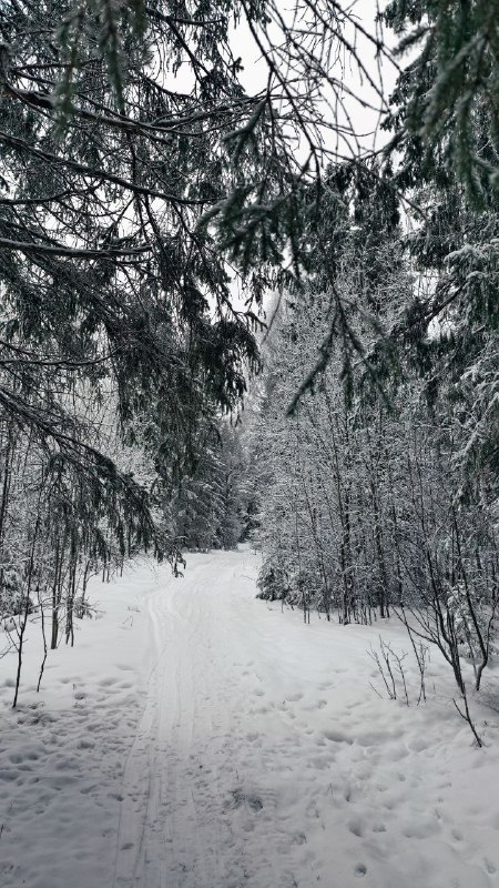 Фото поста канала  Эхо Севера