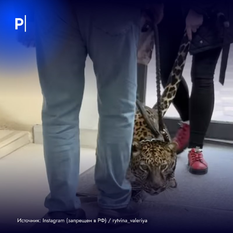 Фото поста канала  PostNews
