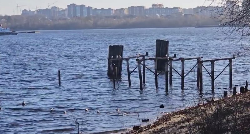 Фото поста канала  ГородЧе