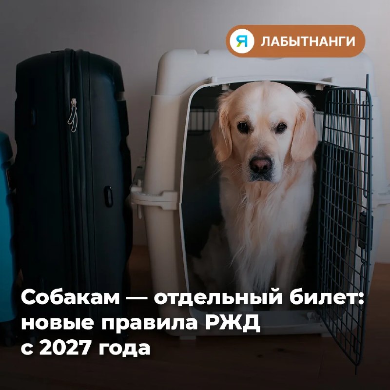 Фото поста канала  ИА ЛАБЫТНАНГИ