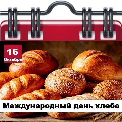 Фото поста канала  Жесть Шебекино