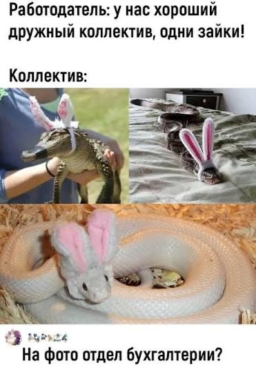Фото поста канала  Новости Югры