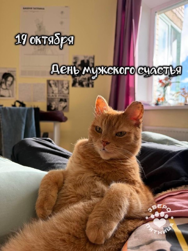 Фото поста канала  Фонтанка SPB Online