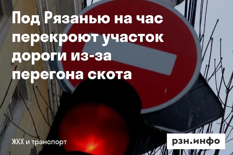 Фото поста канала  Новости Рязани • РЗН.инфо