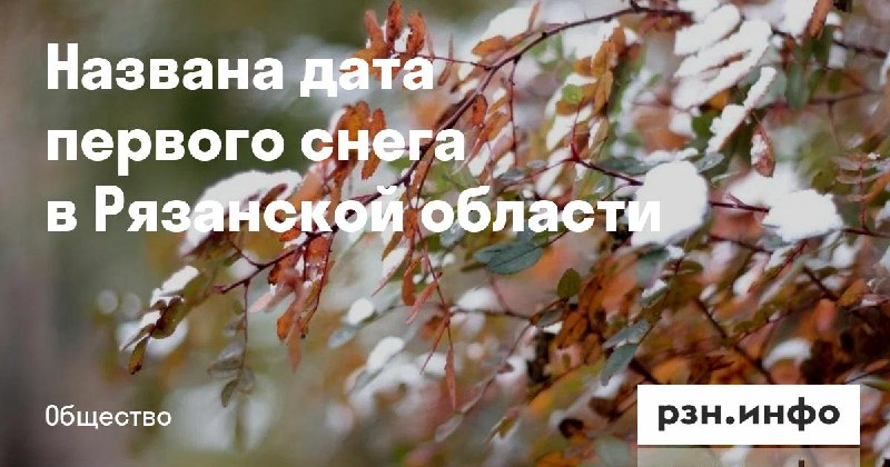 Фото поста канала  Новости Рязани • РЗН.инфо