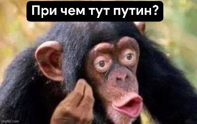 Фото поста канала  Днище *