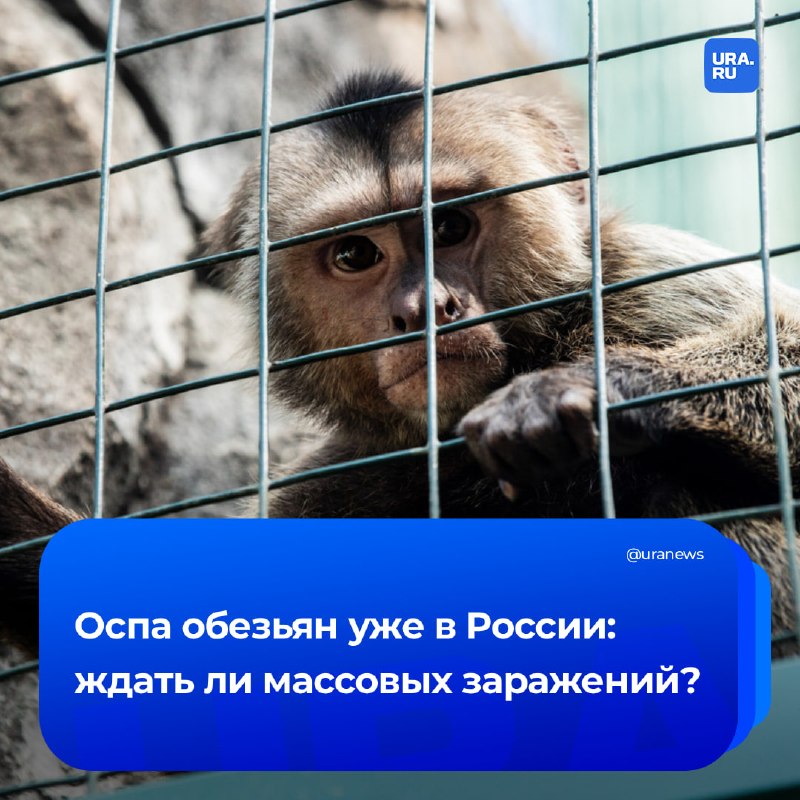 Фото поста канала  URA.RU